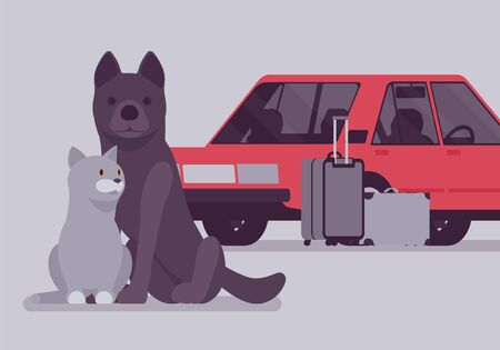 voyager avec son chien ou chat 