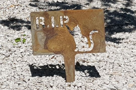 Plaque Funeraire Pour Chat